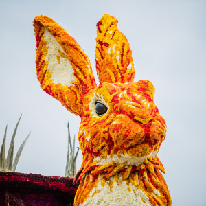 Corso Sint Jansklooster
