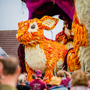 Corso Sint Jansklooster