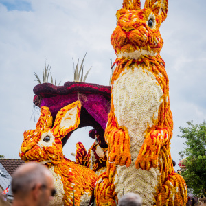 Corso Sint Jansklooster