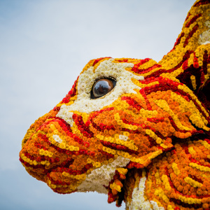 Corso Sint Jansklooster