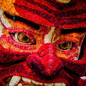 Corso Sint Jansklooster