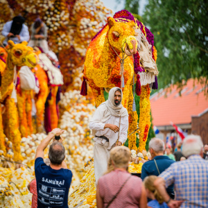 Corso Sint Jansklooster