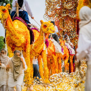 Corso Sint Jansklooster