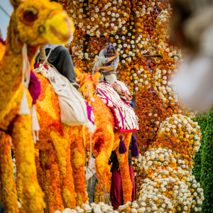 Corso Sint Jansklooster