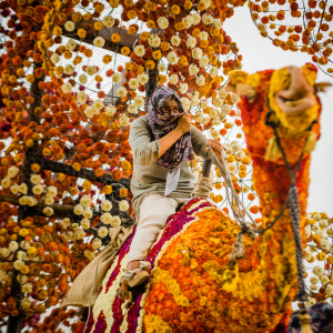 Corso Sint Jansklooster