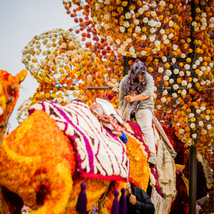 Corso Sint Jansklooster