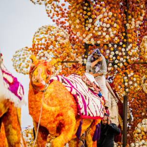 Corso Sint Jansklooster