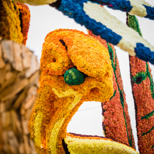Corso Sint Jansklooster