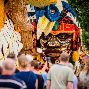 Corso Sint Jansklooster