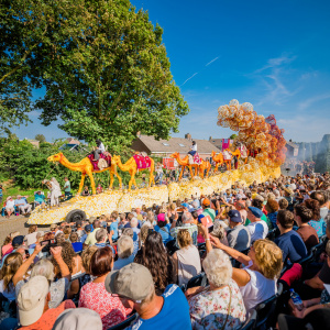 Corso Sint Jansklooster