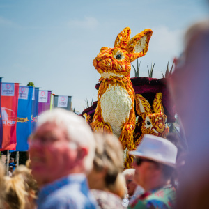 Corso Sint Jansklooster