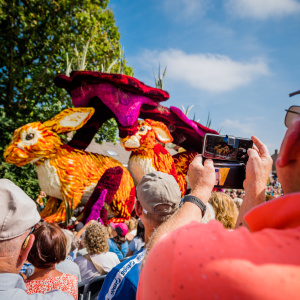 Corso Sint Jansklooster