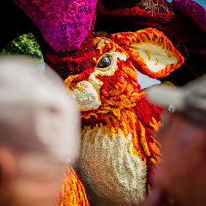 Corso Sint Jansklooster