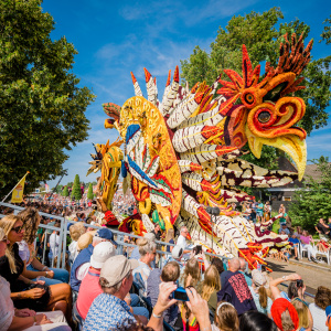 Corso Sint Jansklooster