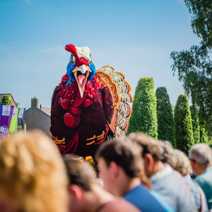 Corso Sint Jansklooster