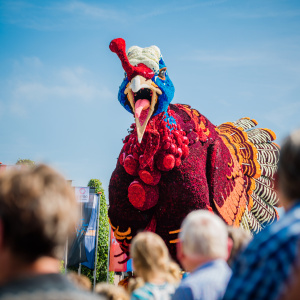 Corso Sint Jansklooster