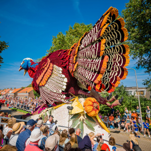 Corso Sint Jansklooster