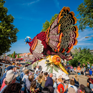Corso Sint Jansklooster