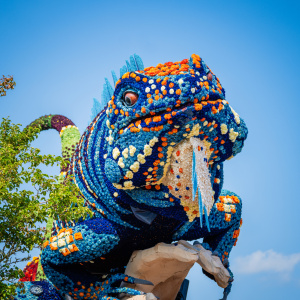 Corso Sint Jansklooster