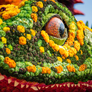 Corso Sint Jansklooster