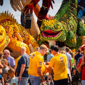 Corso Sint Jansklooster