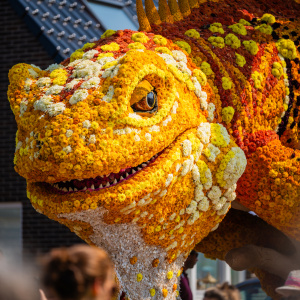 Corso Sint Jansklooster