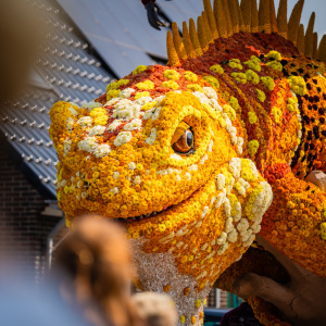 Corso Sint Jansklooster