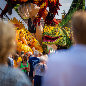 Corso Sint Jansklooster
