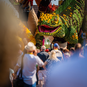 Corso Sint Jansklooster