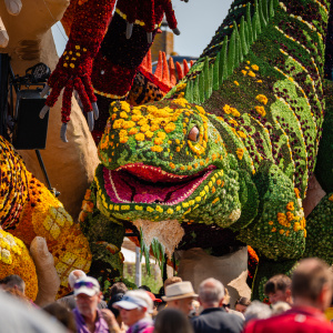 Corso Sint Jansklooster