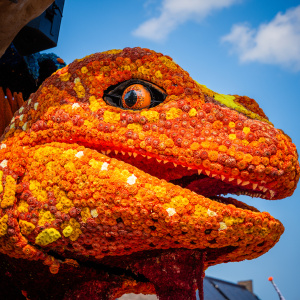 Corso Sint Jansklooster
