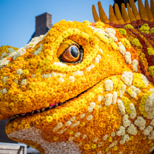 Corso Sint Jansklooster