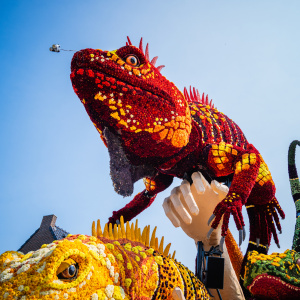 Corso Sint Jansklooster