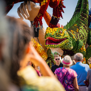 Corso Sint Jansklooster