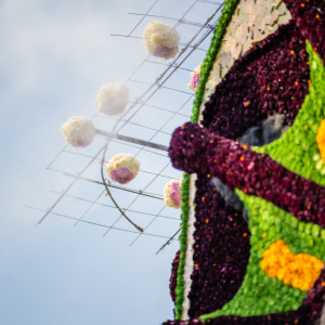 Corso Sint Jansklooster