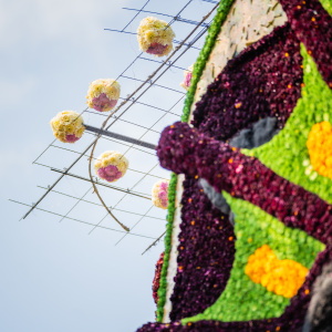 Corso Sint Jansklooster
