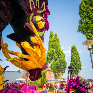 Corso Sint Jansklooster