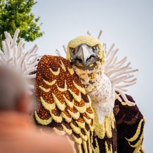 Corso Sint Jansklooster