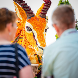 Corso Sint Jansklooster