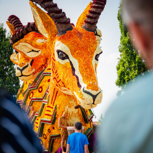 Corso Sint Jansklooster