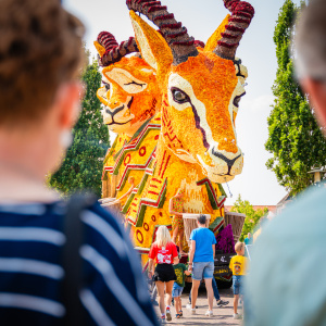 Corso Sint Jansklooster