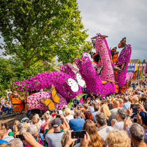 Corso Sint Jansklooster