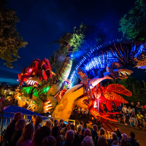 Corso Sint Jansklooster