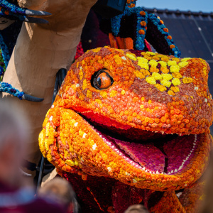 Corso Sint Jansklooster
