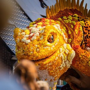 Corso Sint Jansklooster