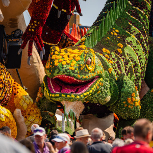 Corso Sint Jansklooster