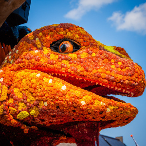 Corso Sint Jansklooster