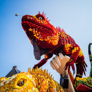 Corso Sint Jansklooster