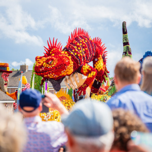 Corso Sint Jansklooster