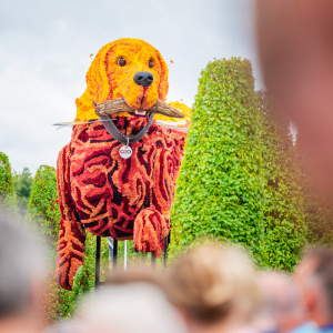 Corso Sint Jansklooster